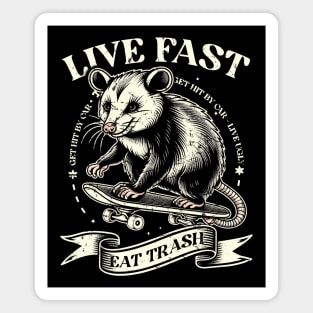 Live Fast - Eat Trash - Get Hit By Car Magnet